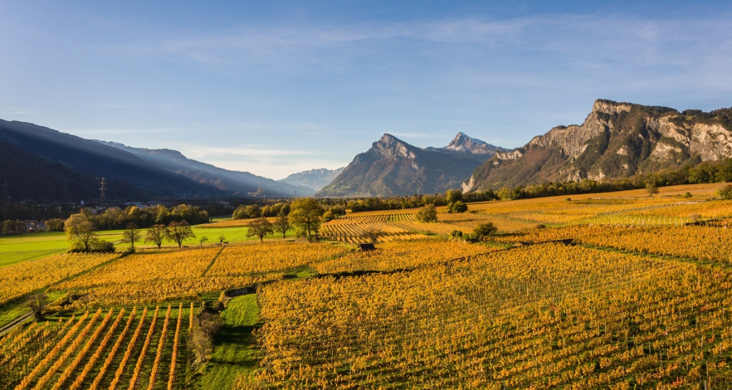 Blick auf die Weinbauregion Bündner Herrschaft