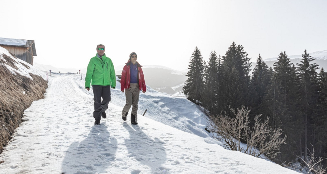 Winterwandern: Naul in Brigels (oua_64365460_image) Winterwandern: Naul in Brigels (oua_64365460_image)