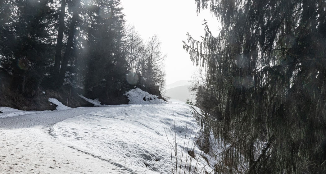 Winterwandern: Naul in Brigels (oua_64365461_image) Winterwandern: Naul in Brigels (oua_64365461_image)