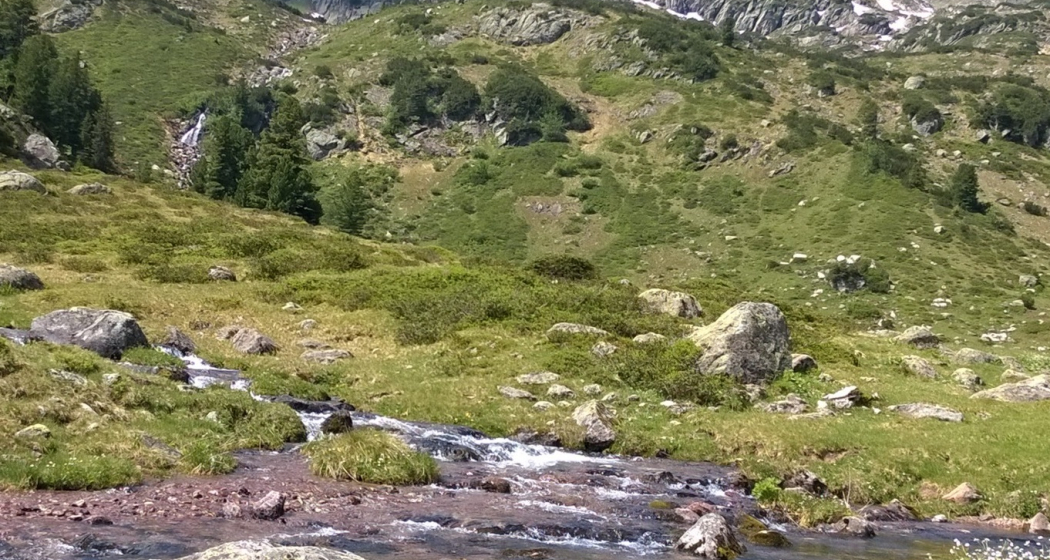 Fischen in den Bergbächen am Flumserberg