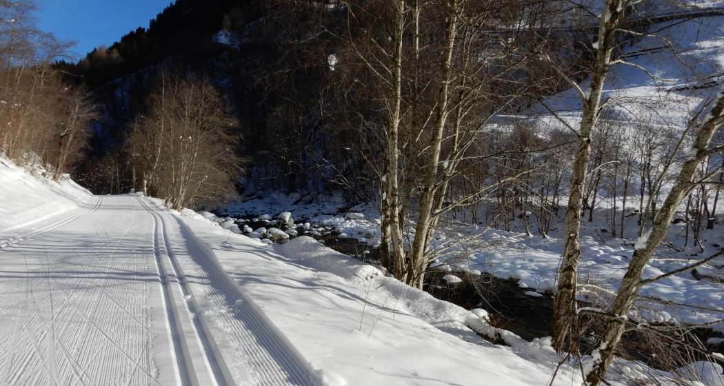 Neben der Loipe dem Rhein entlang Neben der Loipe dem Rhein entlang