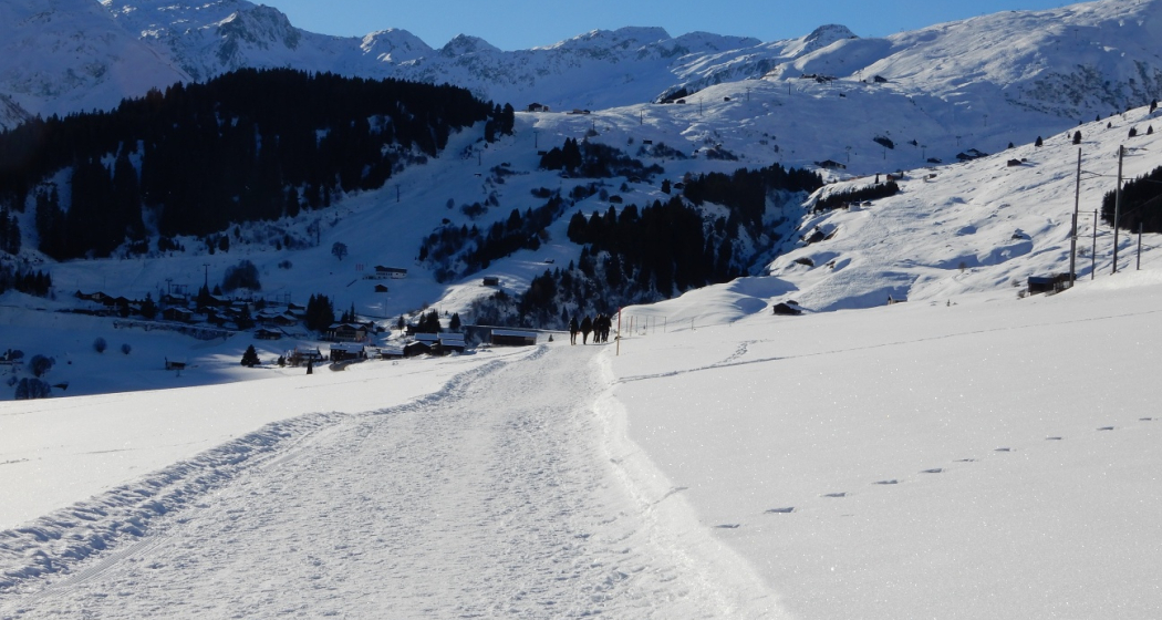 Blick aufs Skigebiet Dieni-Milez