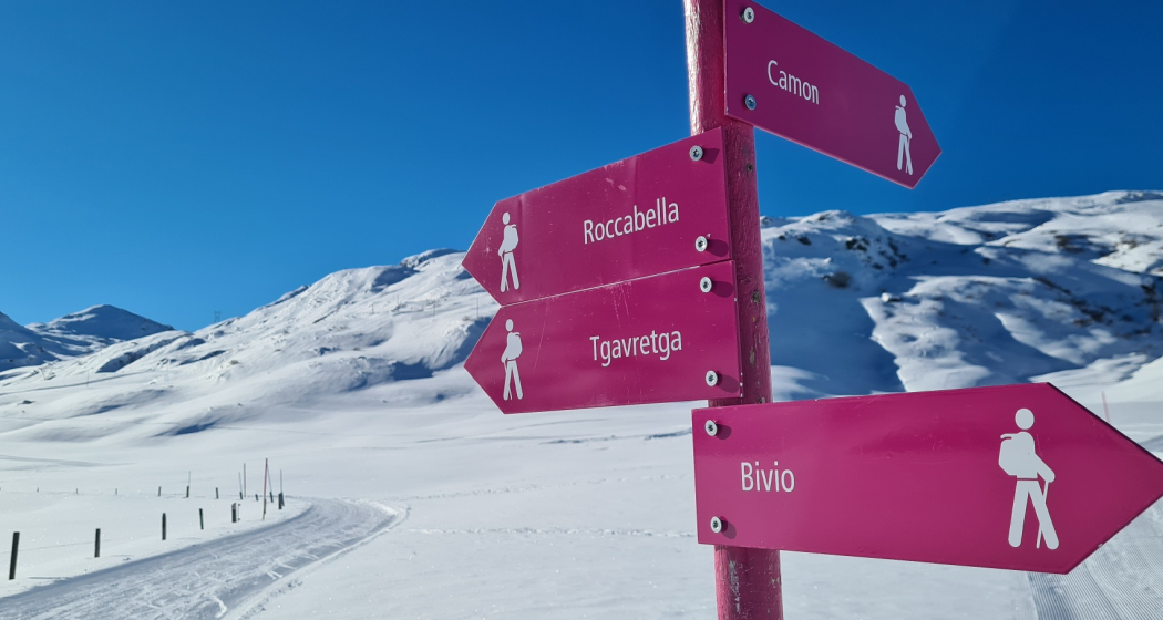 Bivio - Barscheinz - Bivio (oua_65670692_image)