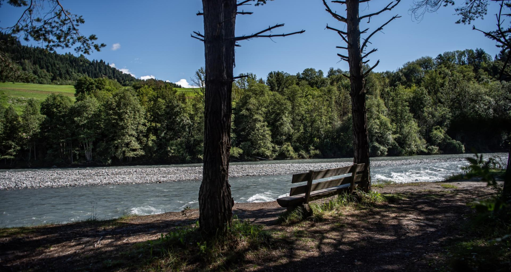 Rheinschlucht Wanderung: Ruinaulta Sut (656.1) (oua_66048707_image)