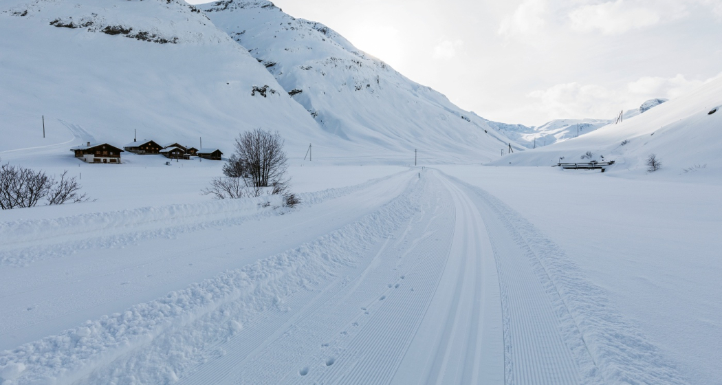Einlauf in das Bergalgatal in Richtung Gletscherhorn Einlauf in das Bergalgatal in Richtung Gletscherhorn