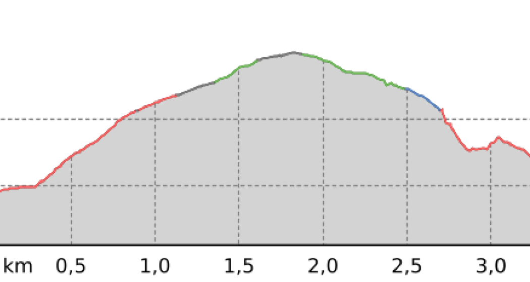 Trutg dil Flem: Rundtour 1. - Bergbahnen Flims – Punt Gronda – Bergbahnen Flims (oua_66673919_1d4cd2b_profile)