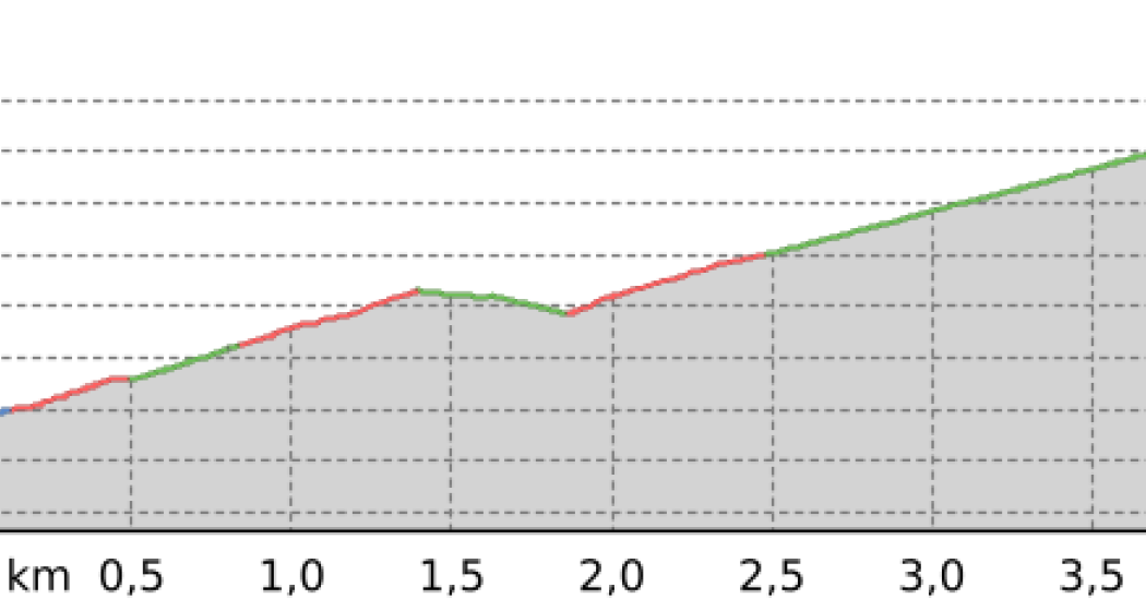 Bergwald-Wundertüte, Darlux (oua_66820665_2c29b85_profile)