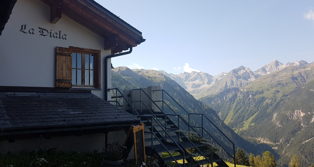 Bergwald-Wundertüte, Darlux (oua_66821066_image)