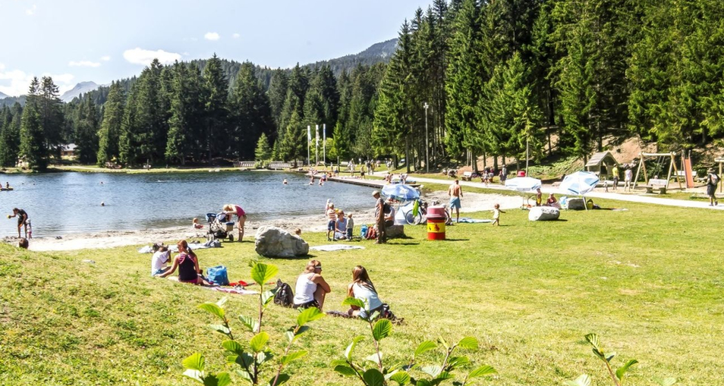 Heidsee im Sommer Heidsee im Sommer