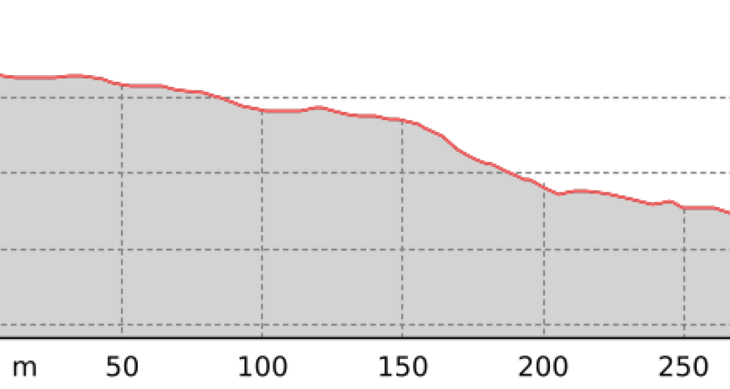 Alp Bondo Trail (oua_67455424_1b297ff_profile)