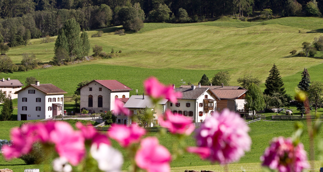 Aussichtsreiche Wanderung vom Umbrailpass zum Giogo di Santa Maria und weiter nach Valchava (oua_70173538_image) Aussichtsreiche Wanderung vom Umbrailpass zum Giogo di Santa Maria und weiter nach Valchava (oua_70173538_image)
