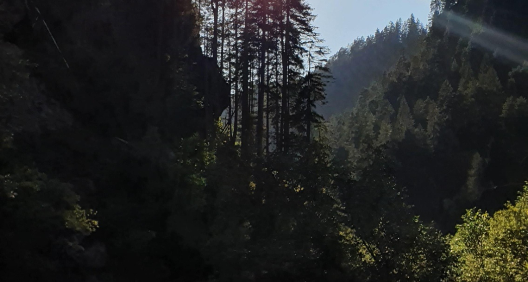 Trailrun leicht - Landwasserviadukt - Filisur (oua_70372896_image)