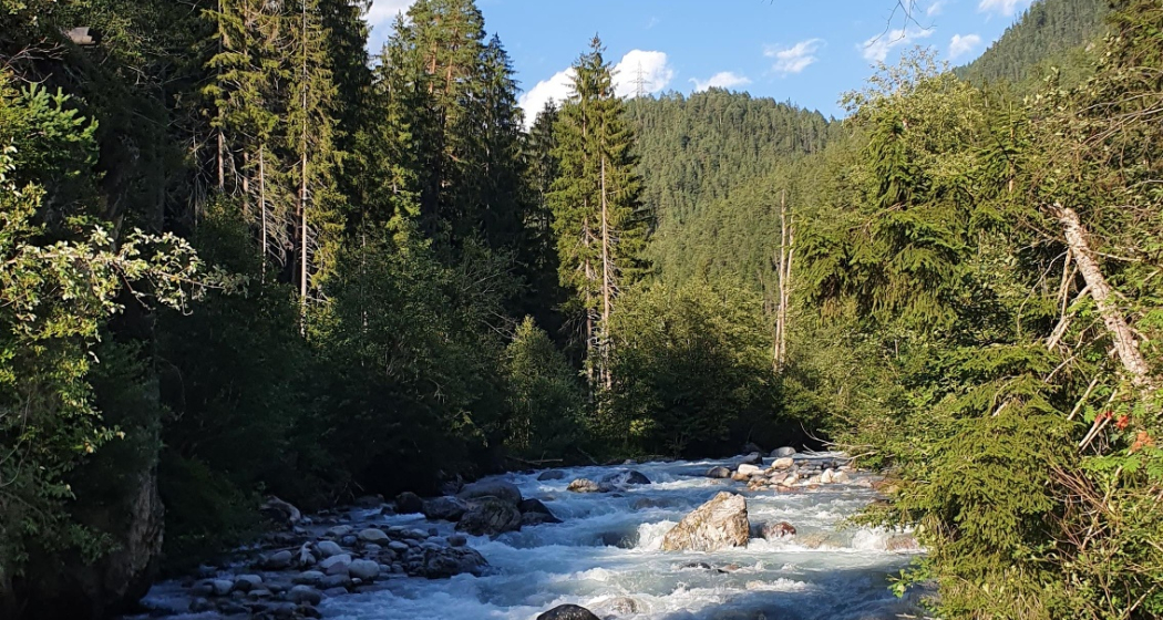 Trailrun leicht - Landwasserviadukt - Filisur (oua_70372897_image)