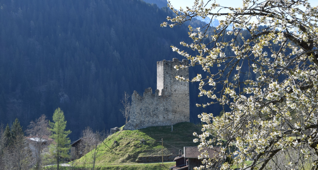 741 Burg Strassberg 741 Burg Strassberg