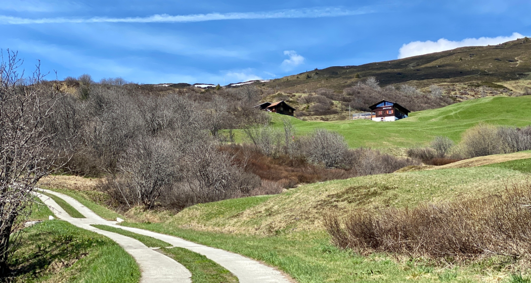 Purtschels Rtg Parsiras Purtschels Rtg Parsiras