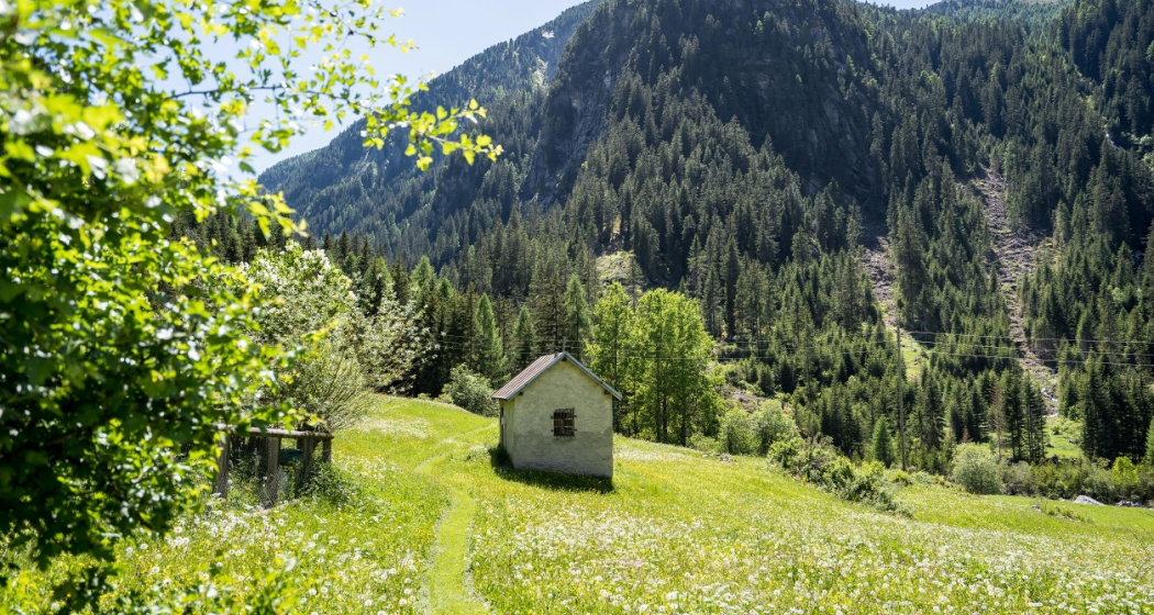Rundwanderweg Ausserferrera Rundwanderweg Ausserferrera