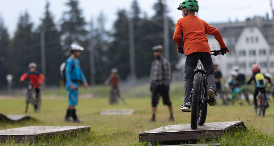 Skills Park Provulèr