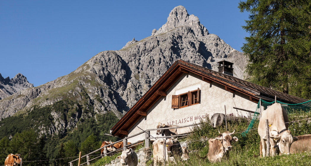 Alp Laisch (oua_71338804_image) Alp Laisch (oua_71338804_image)