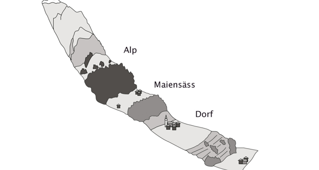 Höhenstufen im Albulatal Höhenstufen im Albulatal