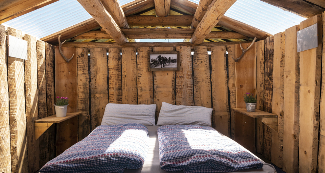 Tgamon Somtgant (oua_71375705_image)