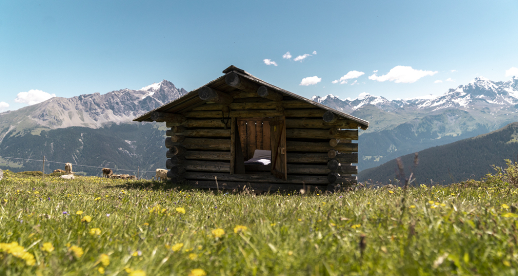 Tgamon Somtgant (oua_71375706_image)