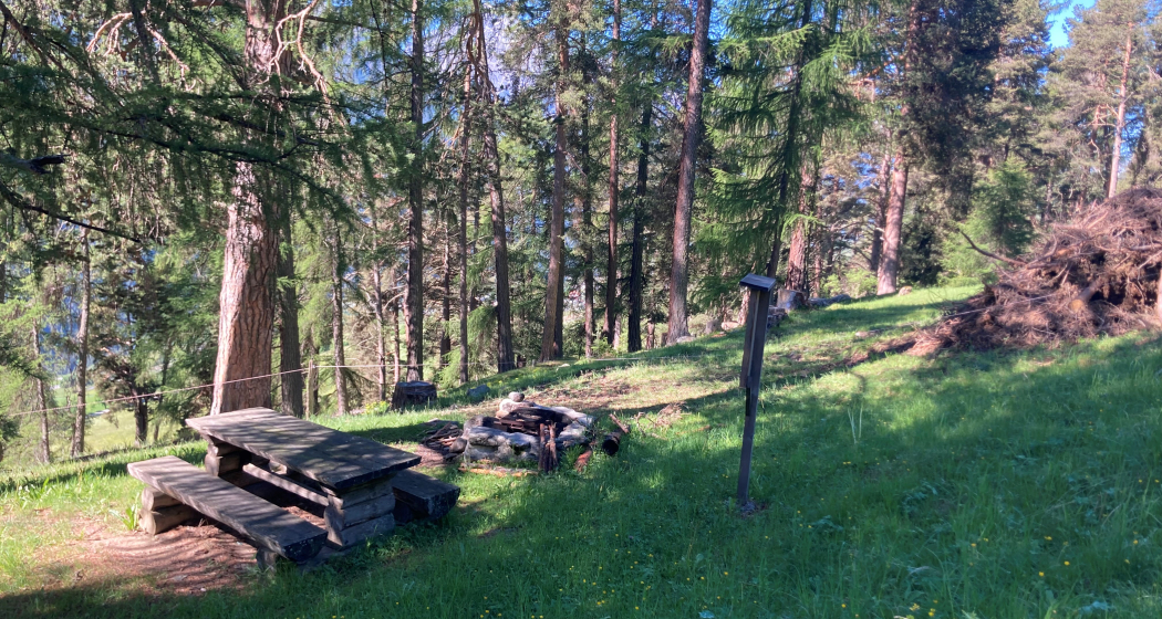 Feuerstelle Plan Mus-chan (oua_71531960_image) Feuerstelle Plan Mus-chan (oua_71531960_image)