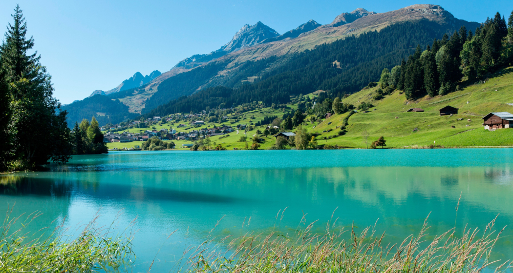 Das Foto zeigt den Brigelser See im Sommer Das Foto zeigt den Brigelser See im Sommer