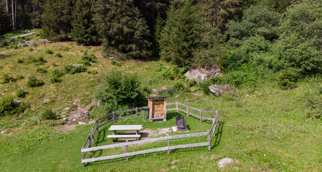 Das Foto zeigt die Plaun da Steilas in Richtung Wald Das Foto zeigt die Plaun da Steilas in Richtung Wald