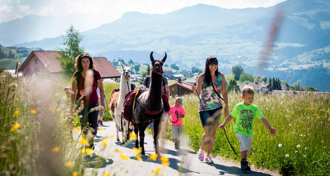 Das Foto zeigt eine Familie die mit Lamas einen Ausflug machen Das Foto zeigt eine Familie die mit Lamas einen Ausflug machen