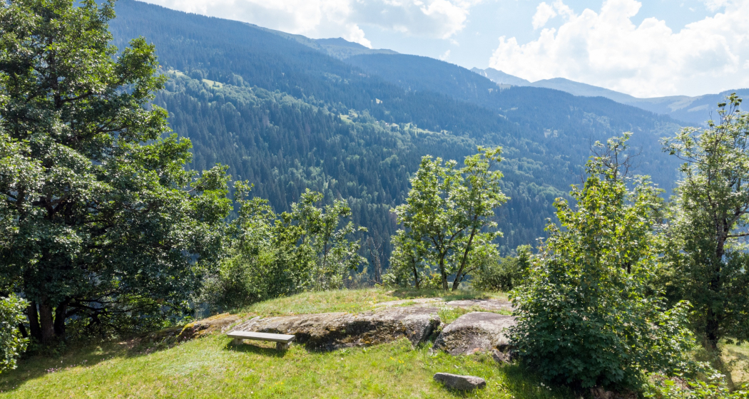 Das Foto zeigt die Grep Patnasa Das Foto zeigt die Grep Patnasa