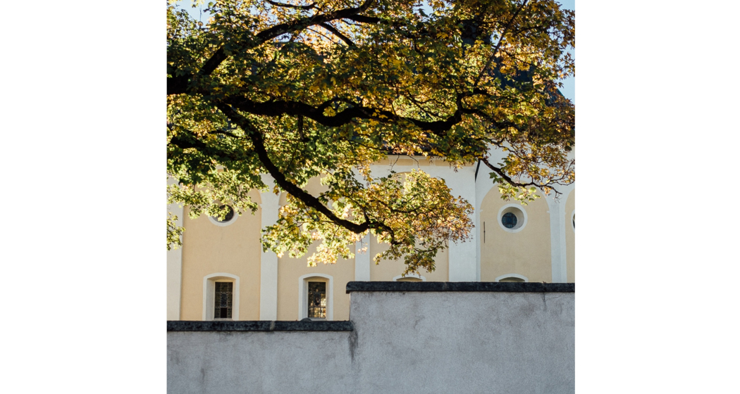 Das Foto zeigt den Ehrengarten Das Foto zeigt den Ehrengarten