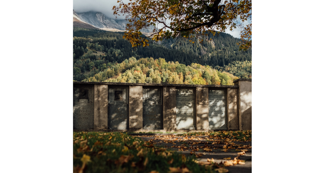Das Foto zeigt den Ehrengarten Das Foto zeigt den Ehrengarten