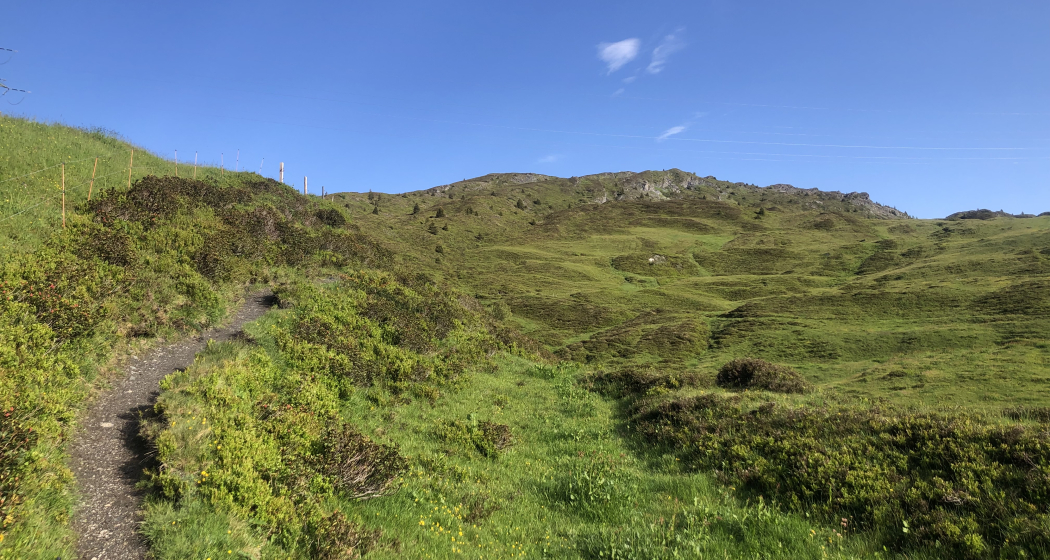 Weg von Glaspass auf den Glaser Grat Weg von Glaspass auf den Glaser Grat