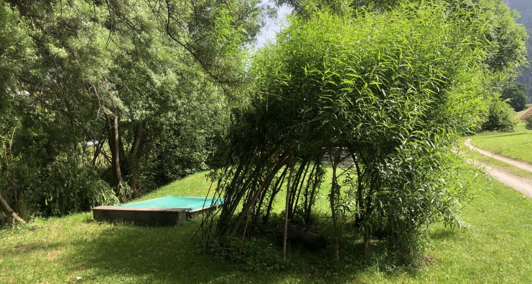 Sandkasten und Weidentipi bei der Grillstelle Im Ried Masein Sandkasten und Weidentipi bei der Grillstelle Im Ried Masein