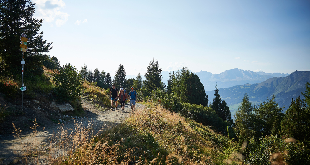 768 Arosa-Ochsenalp Rundtour 768 Arosa-Ochsenalp Rundtour