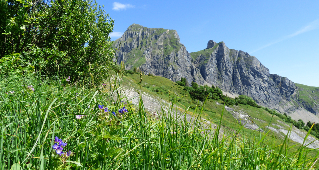 Alvierkette Alvierkette