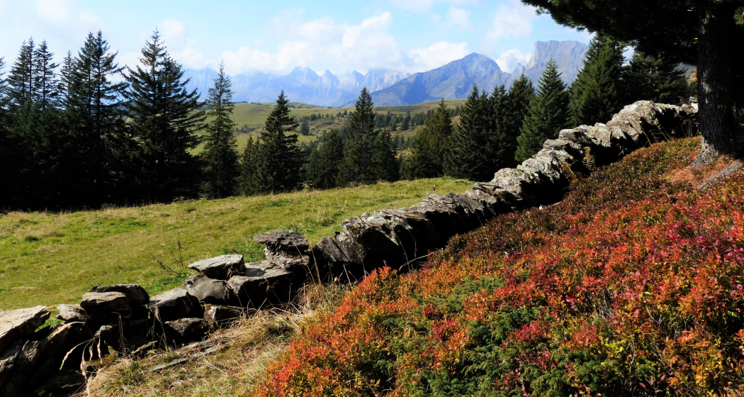 Trockenmauer mit Hochebene Palfries im Hintergrund