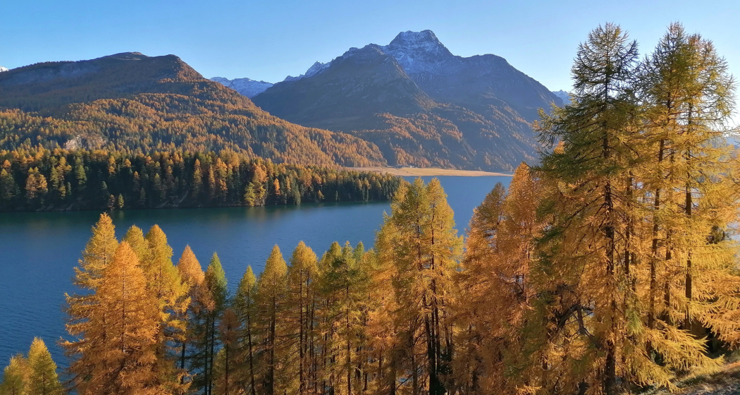 Blick auf den Silsersee Blick auf den Silsersee
