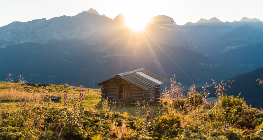 Tgamon Somtgant (oua_73742017_image)