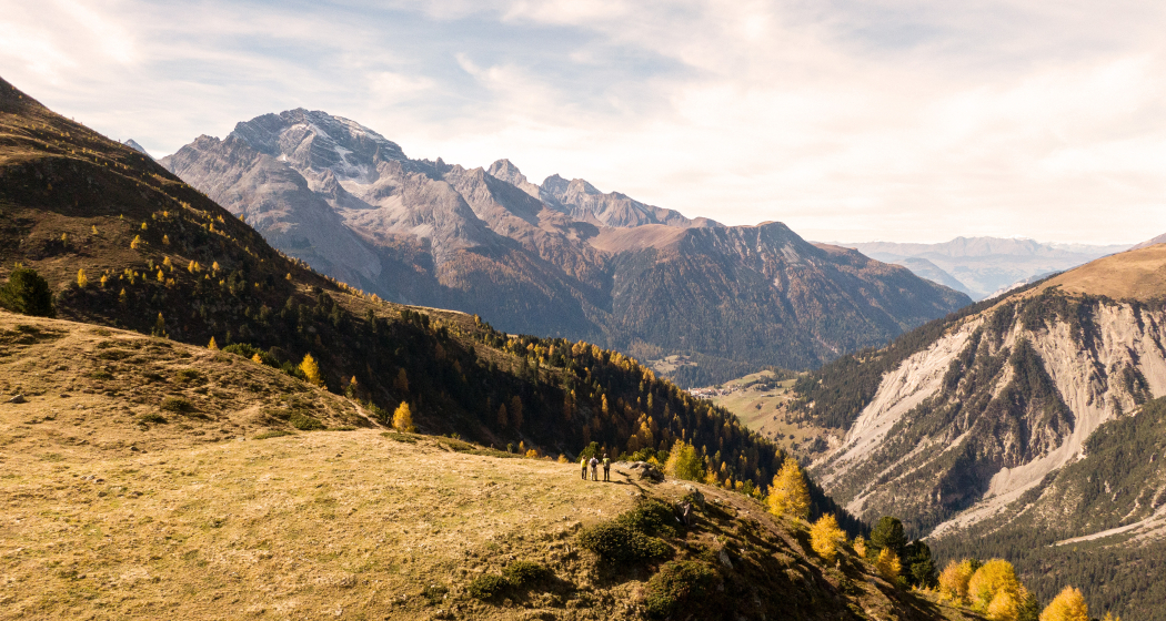 Panoramaweg Darlux (oua_74234907_image)