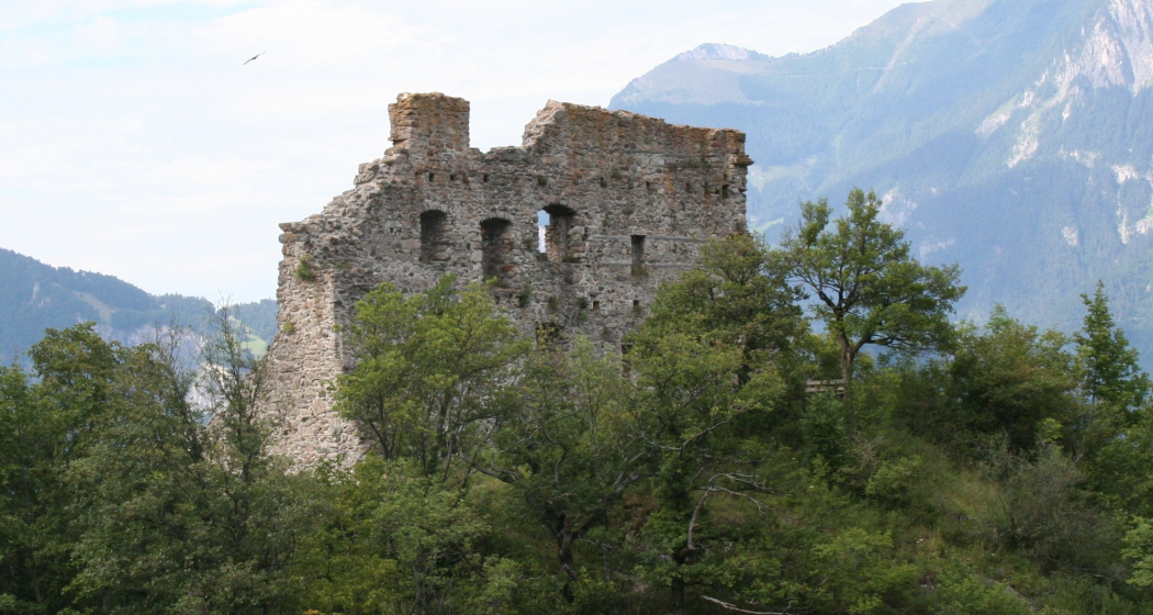 Burgruine Wartenstein