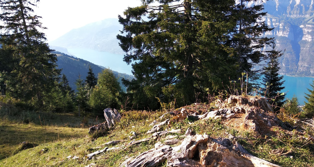 Hochzytsbänkli Hochzytsbänkli