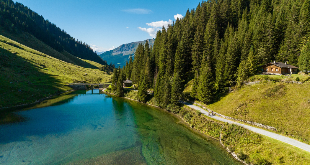 Kübliser Alp (oua_75148801_image)