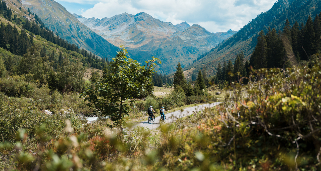 Alp Sardasca (oua_75149601_image) Alp Sardasca (oua_75149601_image)