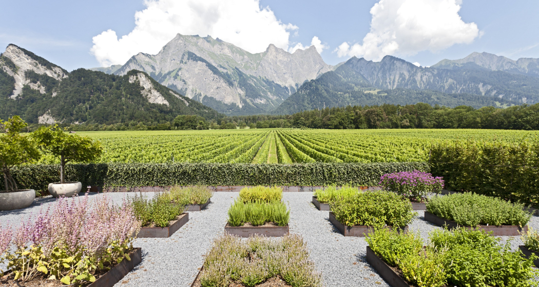 Weingut Davaz Weingut Davaz