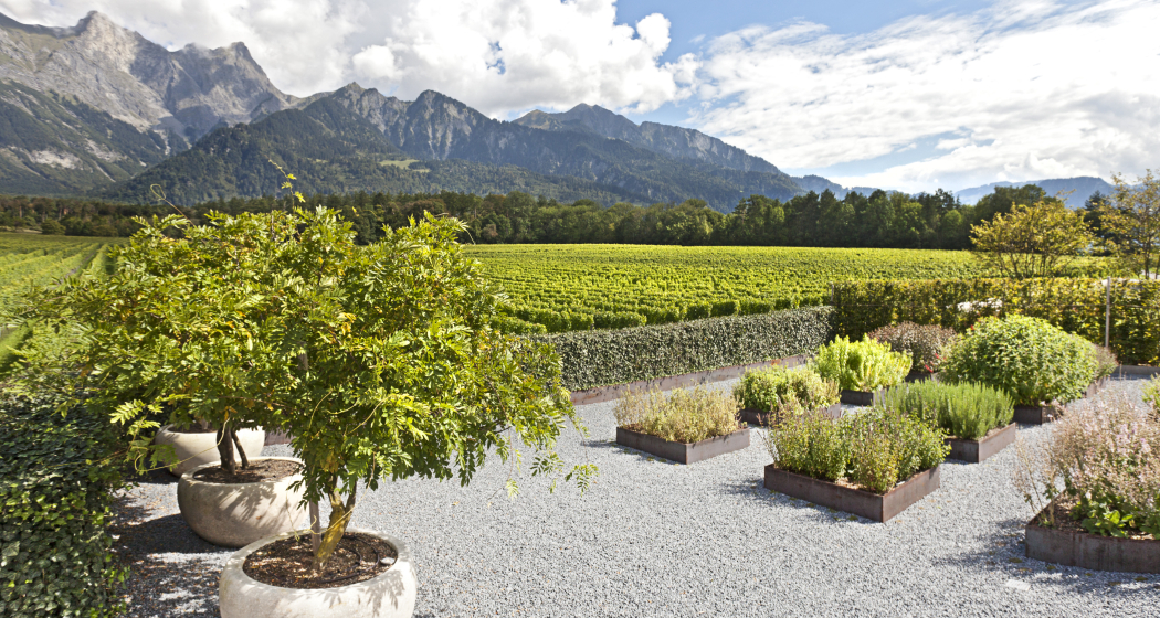 Weingut Davaz Weingut Davaz