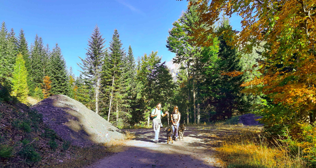 Berggasthaus Eggwald Berggasthaus Eggwald
