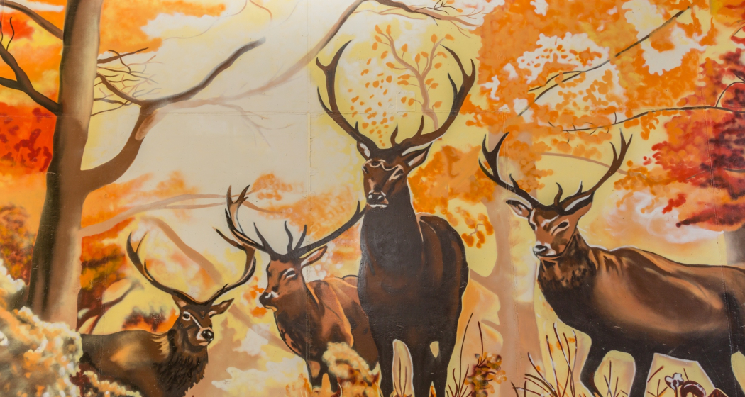 Unterführung in Castrisch mit Hirsch Zeichnungen