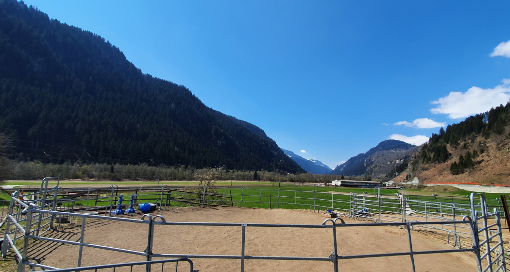 Laufgehege, Sun Ranch in Rueun Laufgehege, Sun Ranch in Rueun