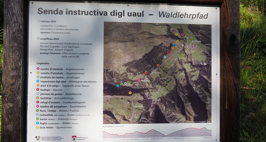 Waldlehrpfad, Übersichtstafel